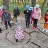 Zajęcia na świeżym powietrzu/realizacja projektu
