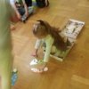 Słoneczka sensorycznie