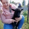 Wycieczka do Sichowa