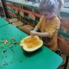 Dzień Dyni w Jeżykach