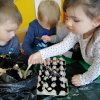 Zakładamy zielony ogródek